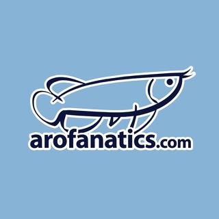 Arofanatics 2.0: Buy Sell Trade Arowana Fish Pets Aquarium Livestock SG