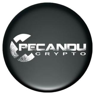 Pecandu Crypto Group
