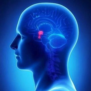 Doctor Hypo - دكتور هايبو