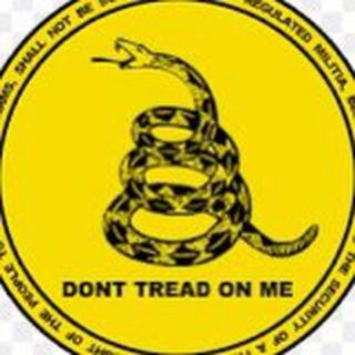 Canal libertario