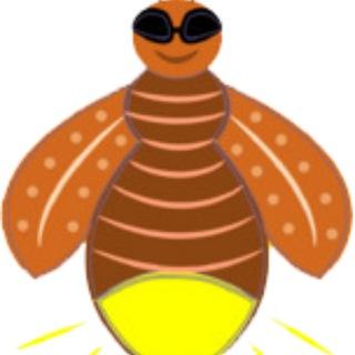 萤火虫vpn 5群。稳定VPN交流