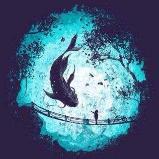 苍哥总群丨必须看最上方置顶