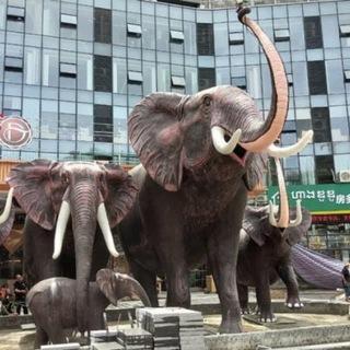 柬埔寨西港聊天群