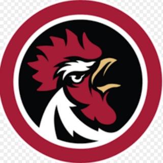 Lịch Thi Đấu & Kết Quả Gà Chọi C1