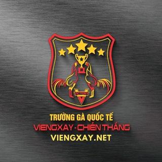 Trường Gà Quốc Tế ViengXay999
