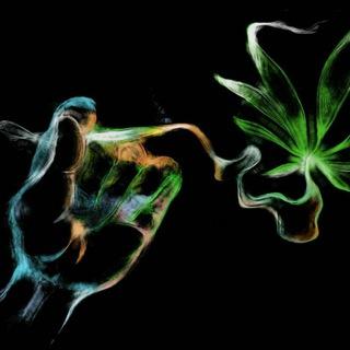 Telegram Group Picture