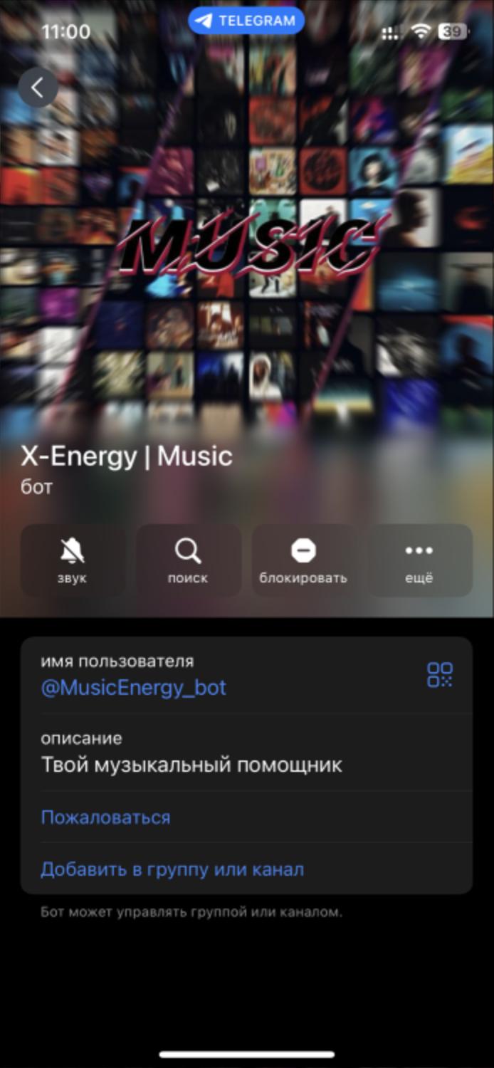 Telegram Bot Screen