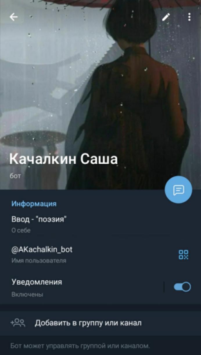 Telegram Bot Screen