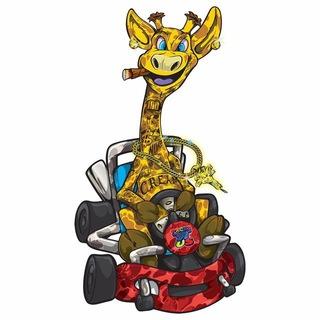 Telegram Group Picture
