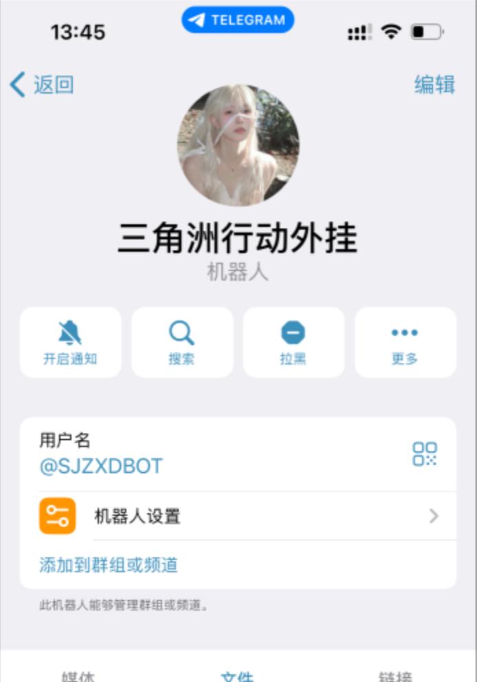 Telegram Bot Screen