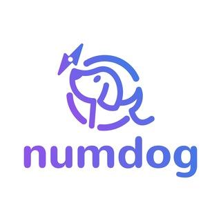 NumDog出海-国际资源交流公群