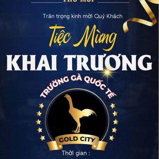 TRƯỜNG GÀ QUỐC TẾ GOLD CITY - OFFICAL