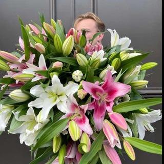 Telegram Group Picture