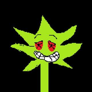 RollingZaza