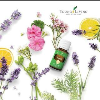 YL🌸Pflanzenseelen🌱
