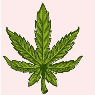 TRAPPY EXOTICS 🍁💊