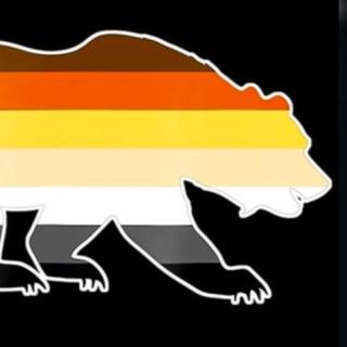 Lehigh Valley Bears