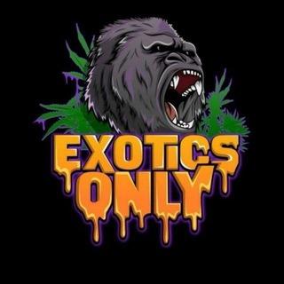 STRAP HOUSE EXOTIC