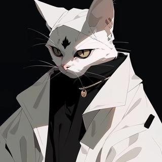 Stymei全网综合分享