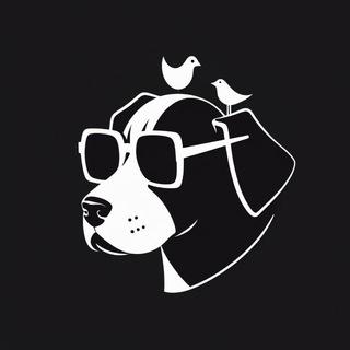 FREE CRYPTO