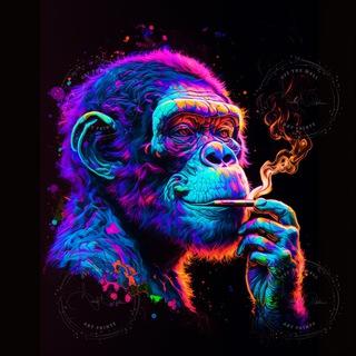 🇬🇧TrippyHippyUK🇬🇧