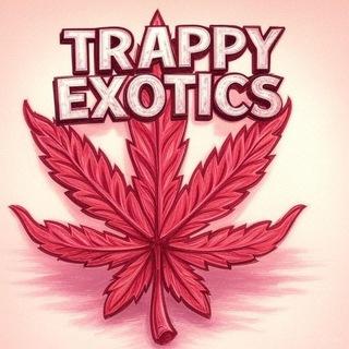TRAPPY EXOTICS