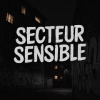 Secteur Sensible 🏢