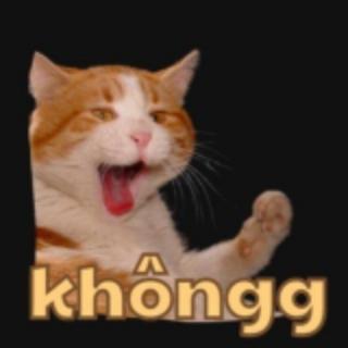 Lớp Học 18