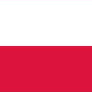 Polskie Kasyno