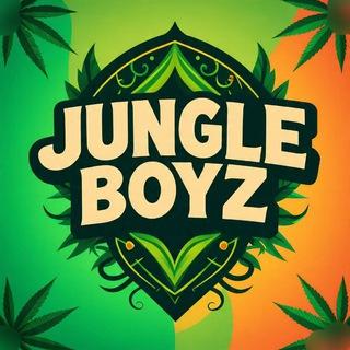 JUNGLE BOYZ 💨🫂✈️