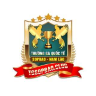 TRƯỜNG GÀ SOP BAO