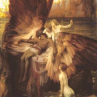 深圳关爱技师委员会（不知道会不会又炸了）