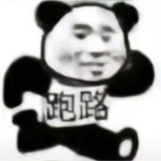 chatGPT PLUS