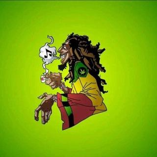 STONNER PARADISE💨🔥🍁💊