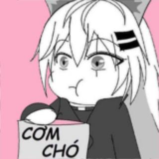 Kho Video hot hàng ngày