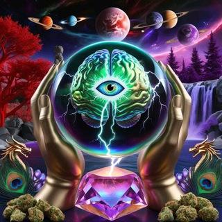 Packs-Shop🇪🇺24💨💯🏦