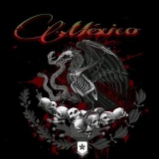 🇲🇽 MÉXICO 💀