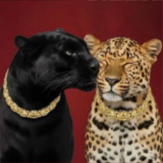 【偏门项目推荐】