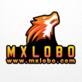 MXLOBO|Official grupo de discusión|🇲🇽