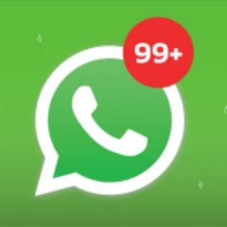 WhatsApp引流 ws蓝标号
