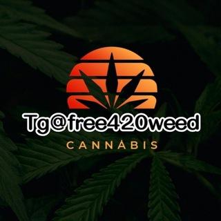 tg@free420weed🌿亞洲最大Tg大麻420專門店(台灣中國大陸香港)Telegram