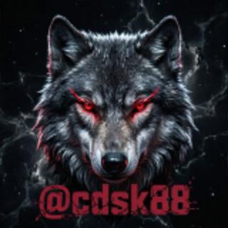 【复仇者】查档开盒/开房记录/外卖快递/报复仇人/