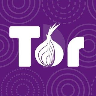 暗网稀缺资源搜索神器