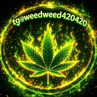 🚀tg@weedweed420420🚀亞洲最大Tg大麻420專門店(台灣中國大陸香港)(mdma迷幻蘑菇thc油LSD)Telegram