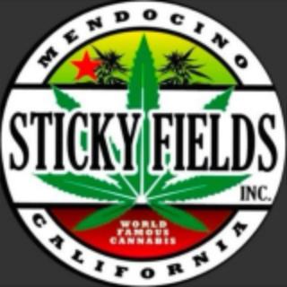 Sticky fields Ny