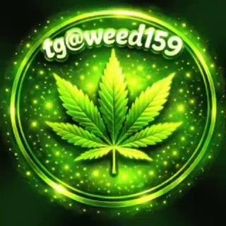 🚀tg@weed159🚀亞洲最大Tg大麻420專門店(台灣中國大陸香港)(mdma迷幻蘑菇thc油LSD)Telegram