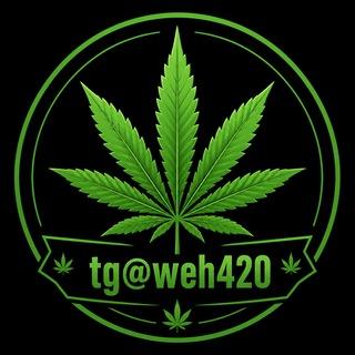 🚀tg@weh420🚀極搜Tg大麻420專門店(台灣中國大陸香港)(mdma迷幻蘑菇thc油LSD)Telegram