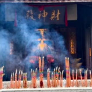 最新风口 白手起家无套路
