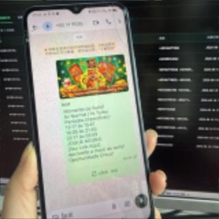 WhatsApp蓝标号/whatsapp龙虾号