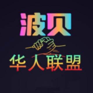波贝华人联盟